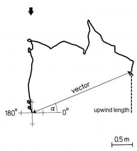 vector length